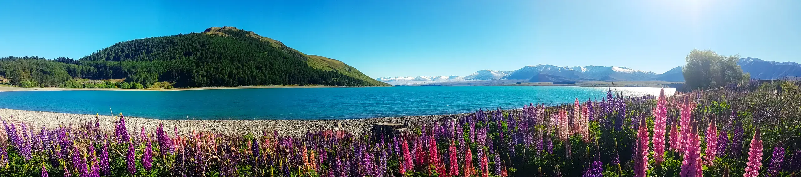 Paradise Found